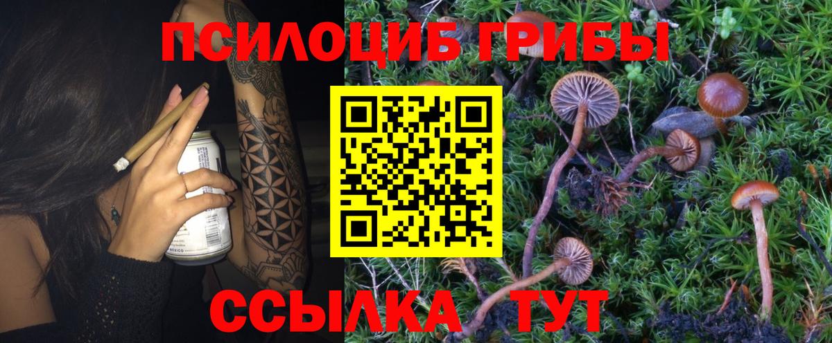 Псилоцибиновые грибы ЛСД Ивантеевка